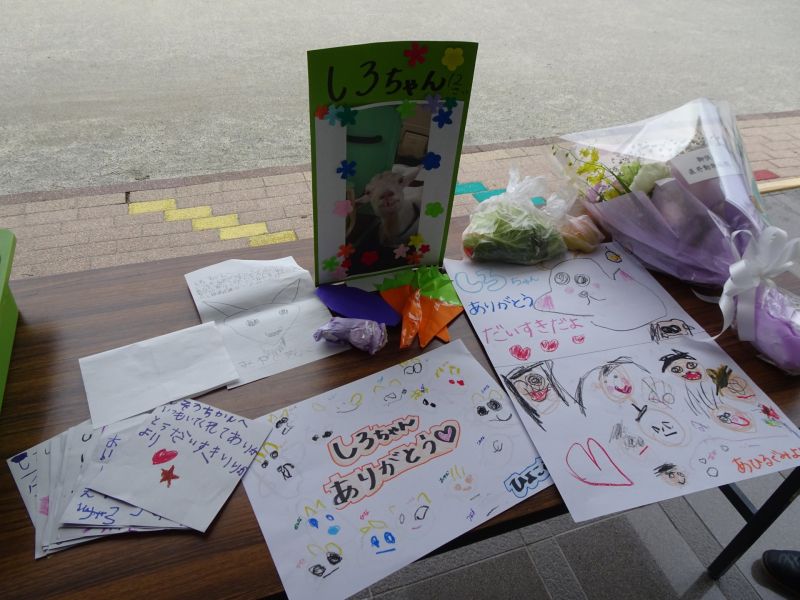 子どもたちからのお手紙