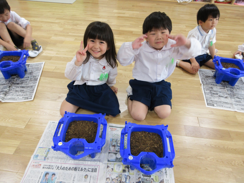 種まきわくわくドキドキ