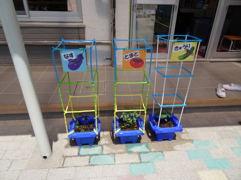 植えた時の野菜がこちら