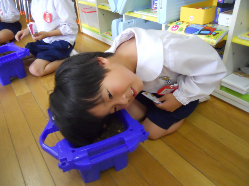土さーん！種さん入れてもいいですかー？？