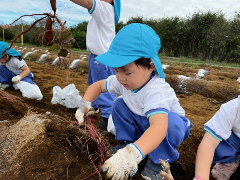 根っ子地獄・・・